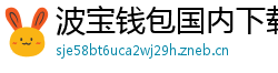 波宝钱包国内下载